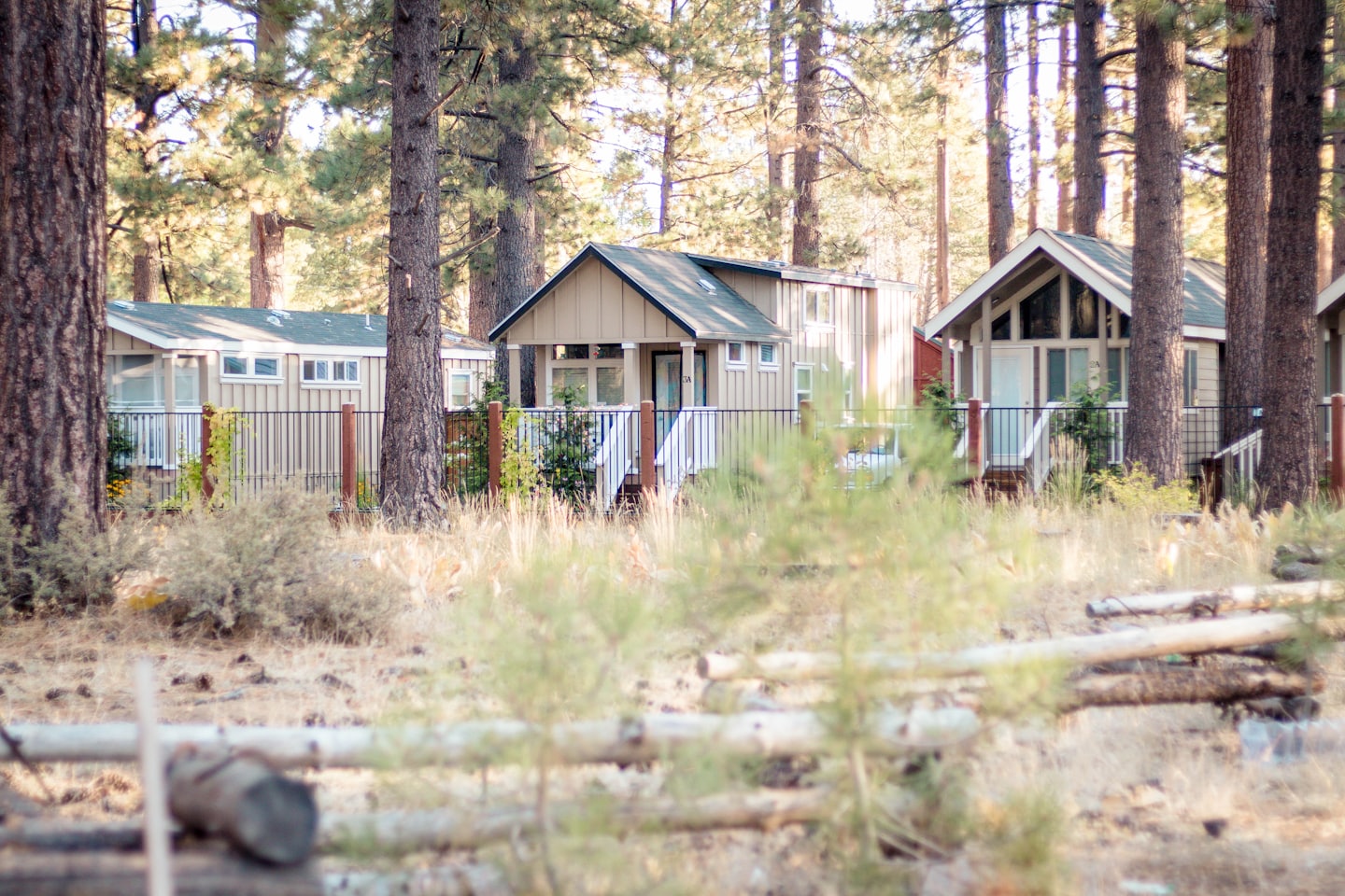 Beige cabins with green roofs stand among tall pine trees.